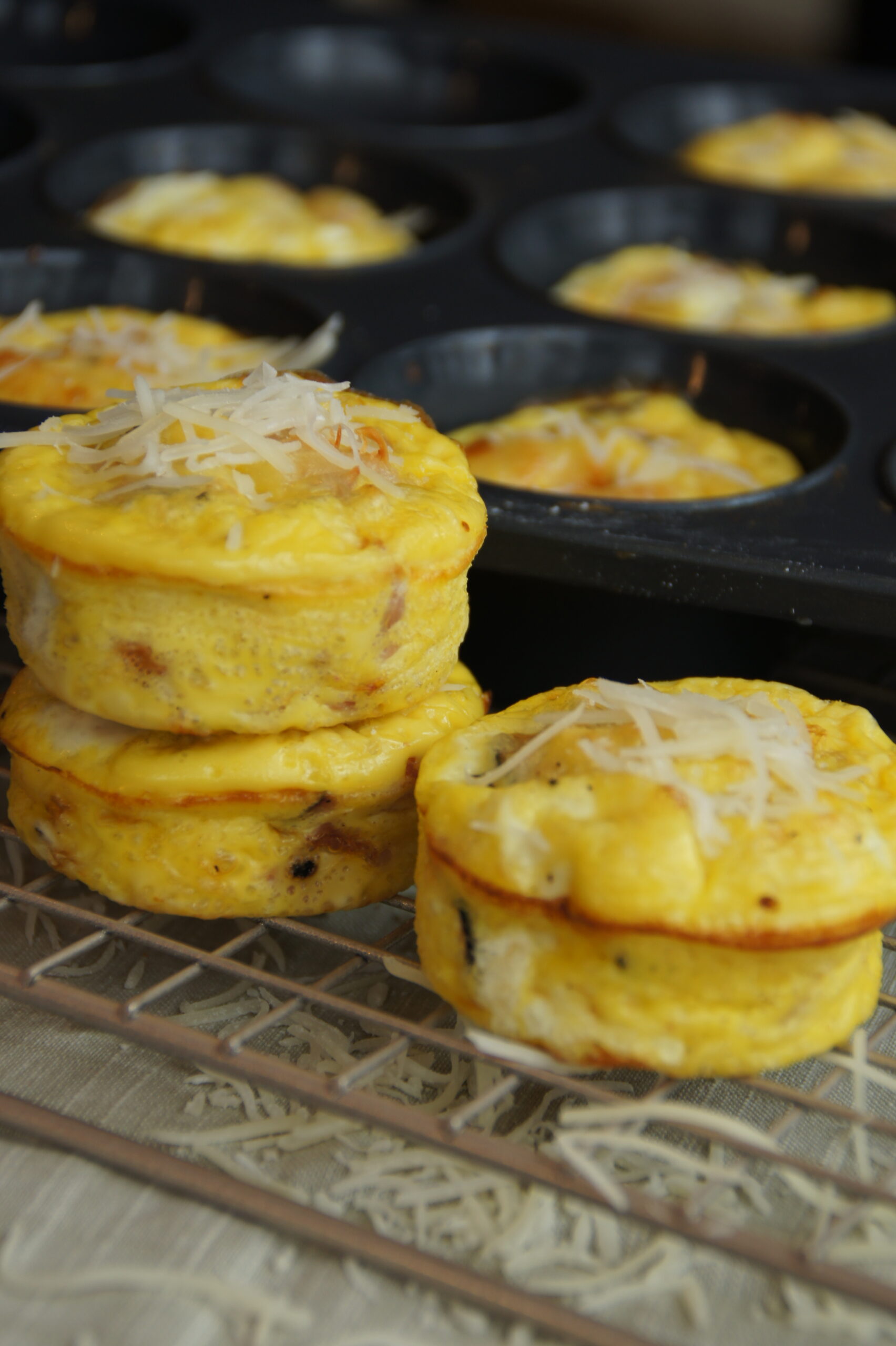Ham & Swiss Egg Bites