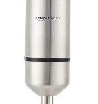 Immersion Blender