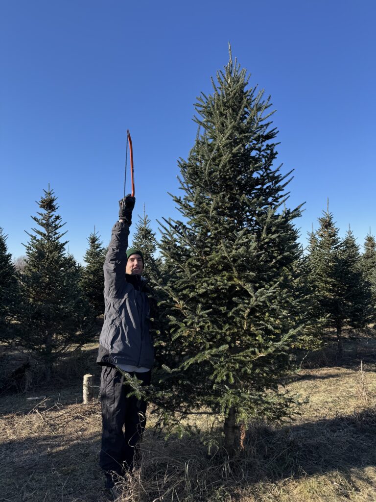 Matt is our measuring stick.