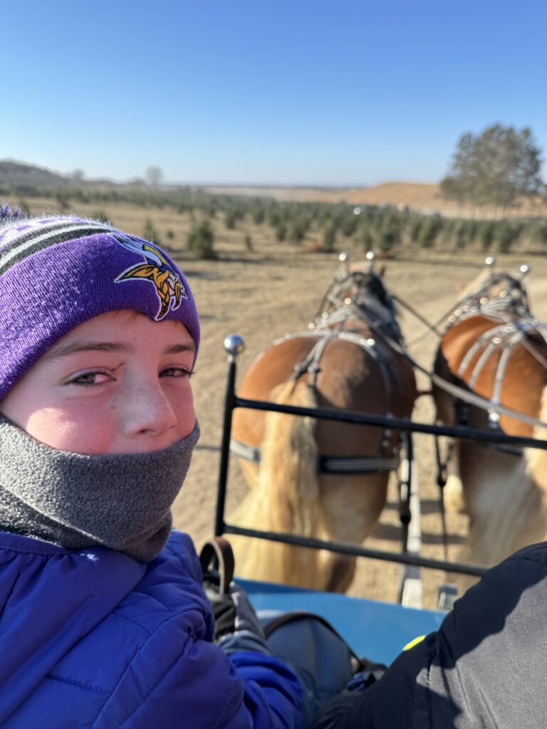Horse drawn sleigh ride.